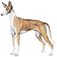 Avatars to free download for your forum or blog (7 100 avatars)