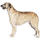 Avatars to free download for your forum or blog (7 100 avatars)