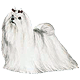 Avatars to free download for your forum or blog (7 100 avatars)