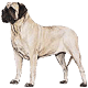 Avatars to free download for your forum or blog (7 100 avatars)