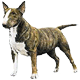 Avatars to free download for your forum or blog (7 100 avatars)