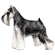 Avatars to free download for your forum or blog (7 100 avatars)
