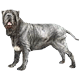 Avatars to free download for your forum or blog (7 100 avatars)