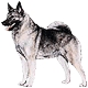 Avatars to free download for your forum or blog (7 100 avatars)