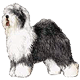 Avatars to free download for your forum or blog (7 100 avatars)