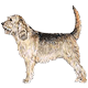 Avatars to free download for your forum or blog (7 100 avatars)