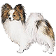 Avatars to free download for your forum or blog (7 100 avatars)