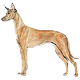 Avatars to free download for your forum or blog (7 100 avatars)