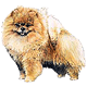 Avatars to free download for your forum or blog (7 100 avatars)