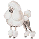 Avatars to free download for your forum or blog (7 100 avatars)