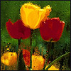 Avatars to free download for your forum or blog (7 100 avatars)