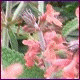 Avatars to free download for your forum or blog (7 100 avatars)