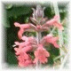 Avatars to free download for your forum or blog (7 100 avatars)
