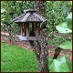 Avatars to free download for your forum or blog (7 100 avatars)