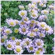 Avatars to free download for your forum or blog (7 100 avatars)