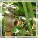 Avatars to free download for your forum or blog (7 100 avatars)