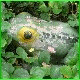 Avatars to free download for your forum or blog (7 100 avatars)