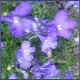Avatars to free download for your forum or blog (7 100 avatars)