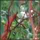 Avatars to free download for your forum or blog (7 100 avatars)