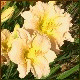 Avatars to free download for your forum or blog (7 100 avatars)