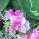 Avatars to free download for your forum or blog (7 100 avatars)