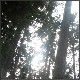 Avatars to free download for your forum or blog (7 100 avatars)