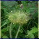 Avatars to free download for your forum or blog (7 100 avatars)