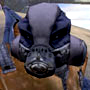 Avatars to free download for your forum or blog (7 100 avatars)