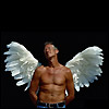 Avatars to free download for your forum or blog (7 100 avatars)