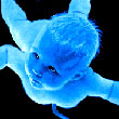Avatars to free download for your forum or blog (7 100 avatars)