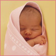 Avatars to free download for your forum or blog (7 100 avatars)
