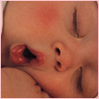 Avatars to free download for your forum or blog (7 100 avatars)