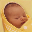 Avatars to free download for your forum or blog (7 100 avatars)