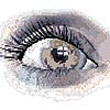 Avatars to free download for your forum or blog (7 100 avatars)