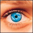 Avatars to free download for your forum or blog (7 100 avatars)