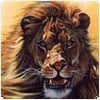 Avatars to free download for your forum or blog (7 100 avatars)