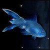Avatars to free download for your forum or blog (7 100 avatars)