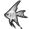 Avatars to free download for your forum or blog (7 100 avatars)