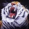 Avatars to free download for your forum or blog (7 100 avatars)