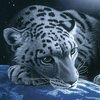 Avatars to free download for your forum or blog (7 100 avatars)