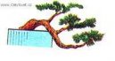 Bonsai