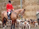 Hounds