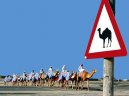 United Arab Emirates