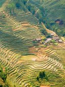 Cong Hoa Xa Hoi Chu Nghia Viet Nam