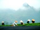 Cong Hoa Xa Hoi Chu Nghia Viet Nam