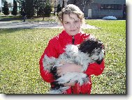 icu, Shih-Tzu