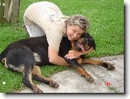 Rottweiler