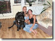 Deutsche Dogge
