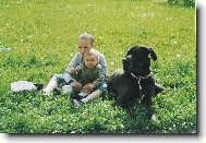 Deutsche Dogge