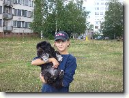 icu, Shih-Tzu